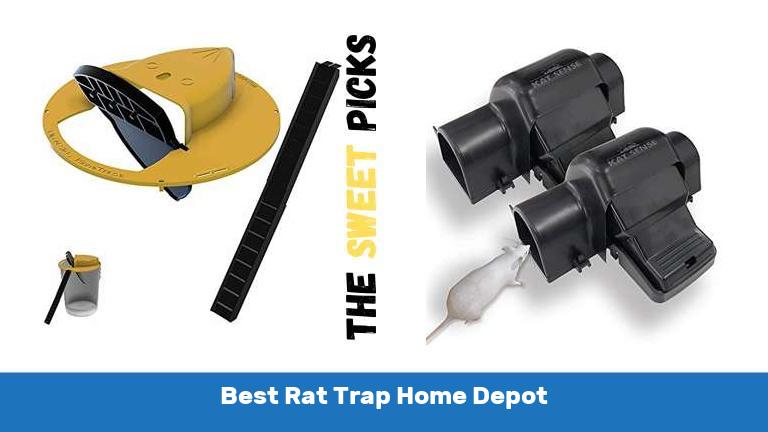 Best Rat Trap Home Depot