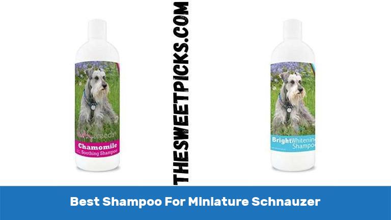 Best Shampoo For Miniature Schnauzer
