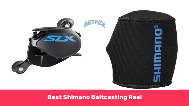 Best Shimano Baitcasting Reel