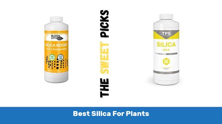 Best Silica For Plants