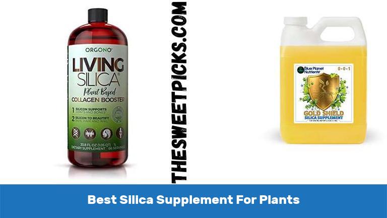 Best Silica Supplement For Plants