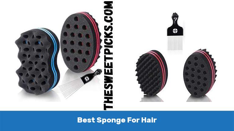 Best Sponge For Hair