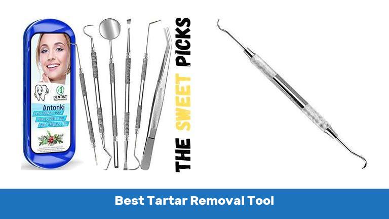 Best Tartar Removal Tool