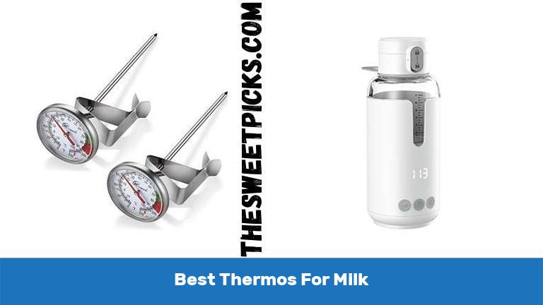 Best Thermos For Milk
