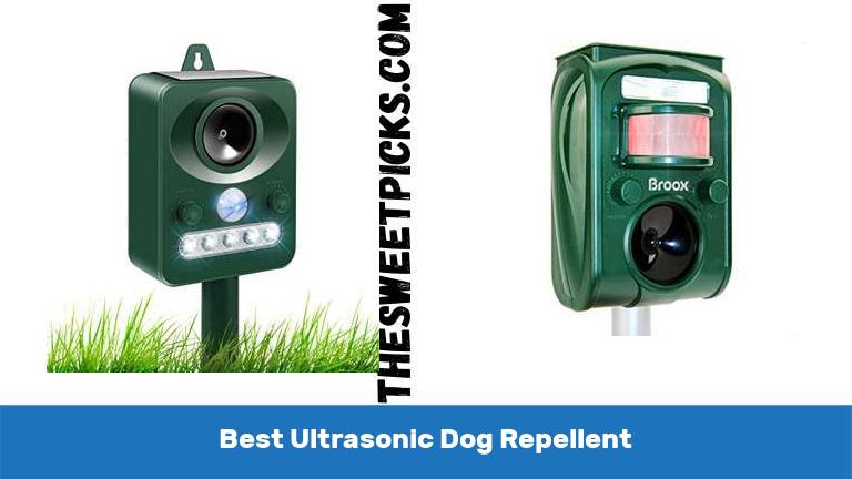 Best Ultrasonic Dog Repellent