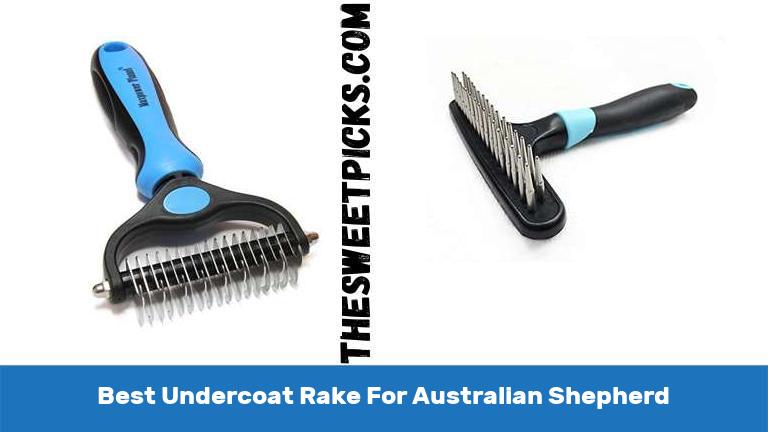 Best Undercoat Rake For Australian Shepherd