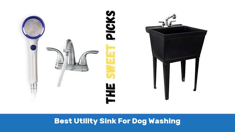 Best Utility Sink For Dog Washing
