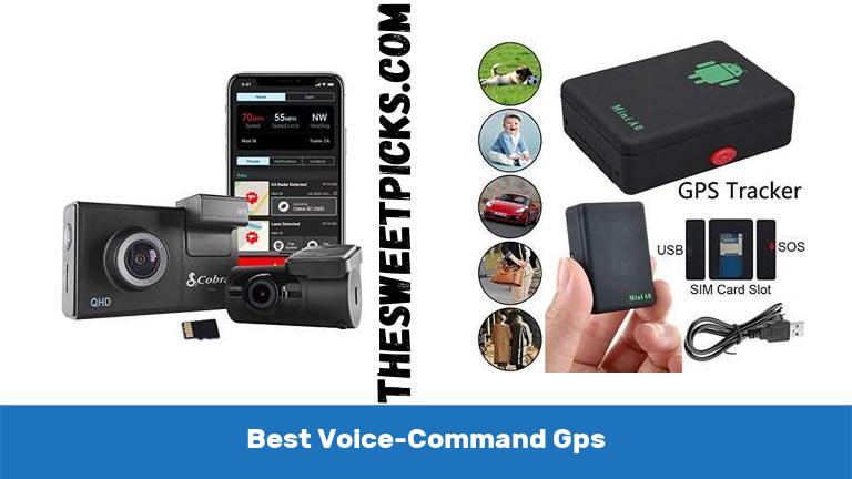Best Voice Command Gps