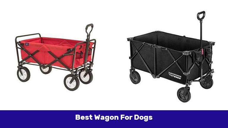 Best Wagon For Dogs