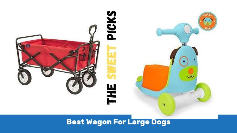 Best Wagon For Large Dogs