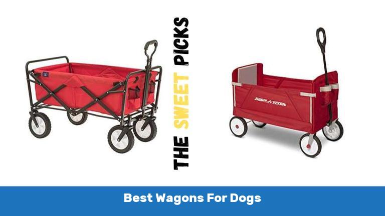 Best Wagons For Dogs