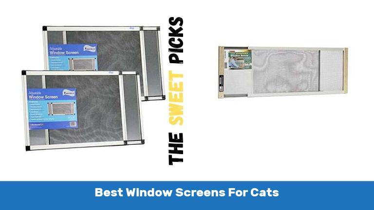 Best Window Screens For Cats