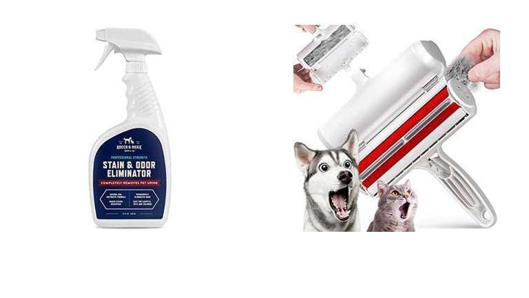 Best Shampoo For A Husky