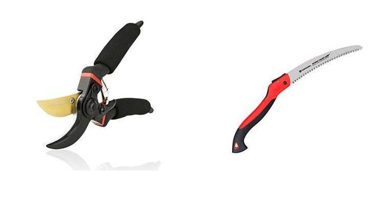 Best Silky Saw For Pruning