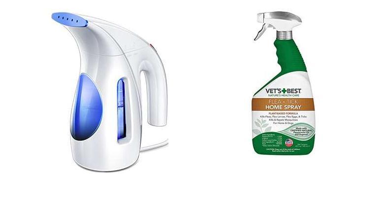 Best Steamer To Kill Bed Bugs