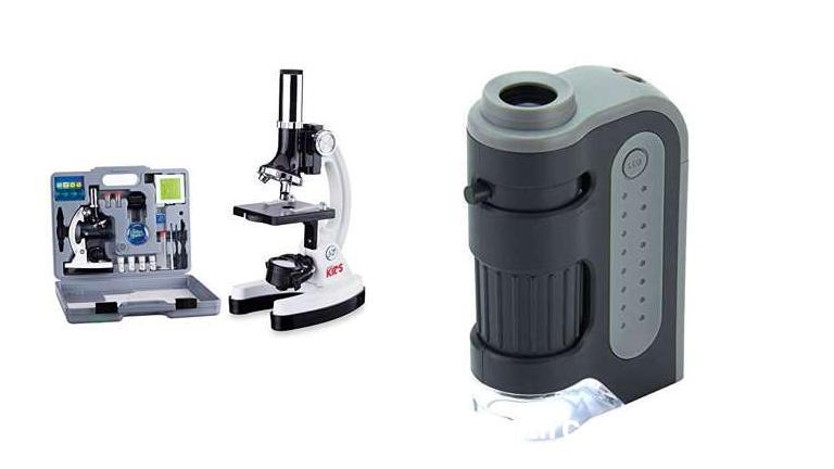 Best Stereo Microscope With Camera