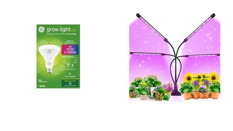 Best T5 Bulbs For Flowering