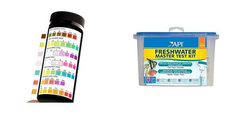 Best Test Kits For Aquariums