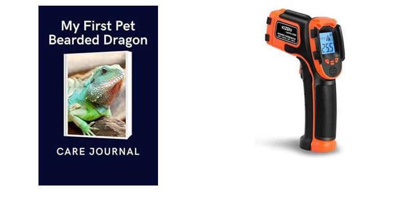 Best Thermometer And Hygrometer For Reptiles