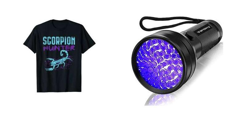 Best Uv Flashlight For Scorpions