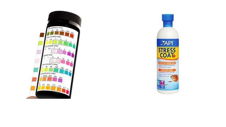 Best Water Testing Kits For Aquariums