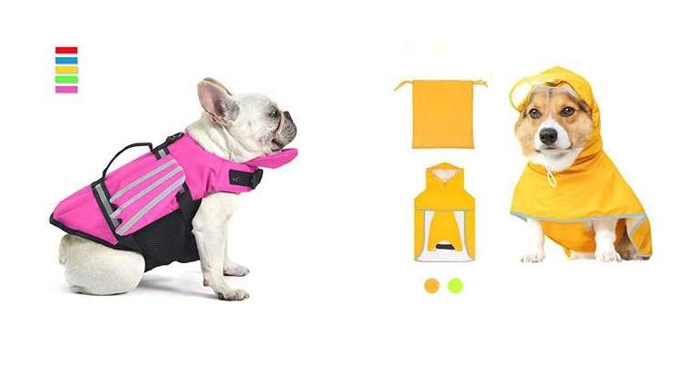 Best Waterproof Dog Coats With Underbelly Protection