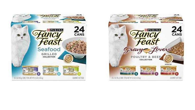 Best Wet Cat Food For Fussy Eaters