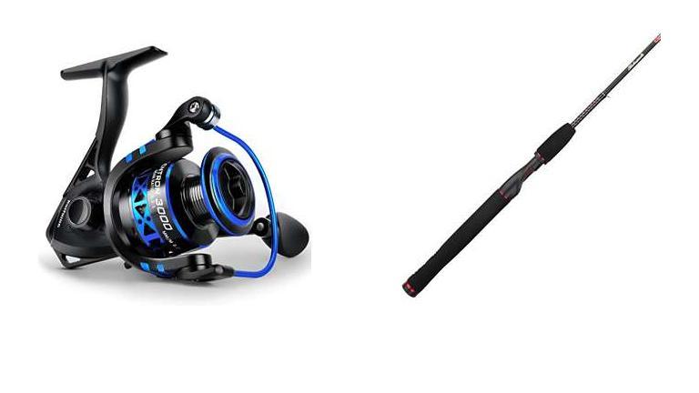 Best Rod For Daiwa Bg 2500