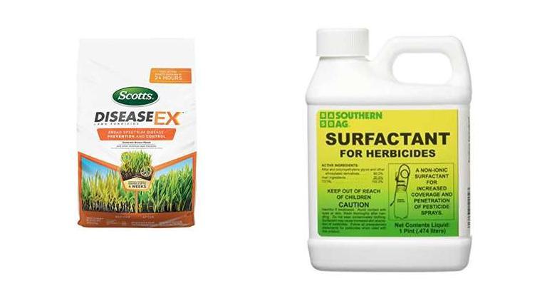 Best Seed To Mix With St  Augustine Grass